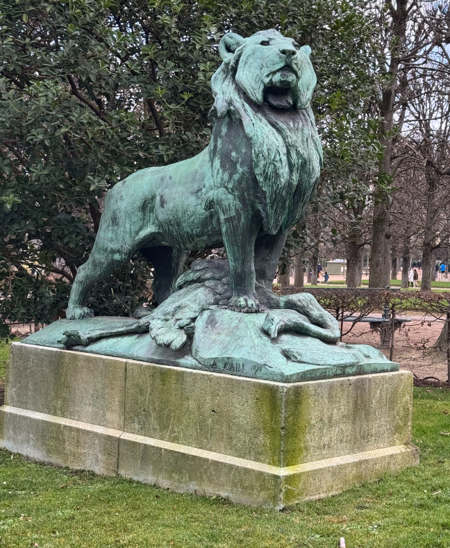 Lion with ostrich prey