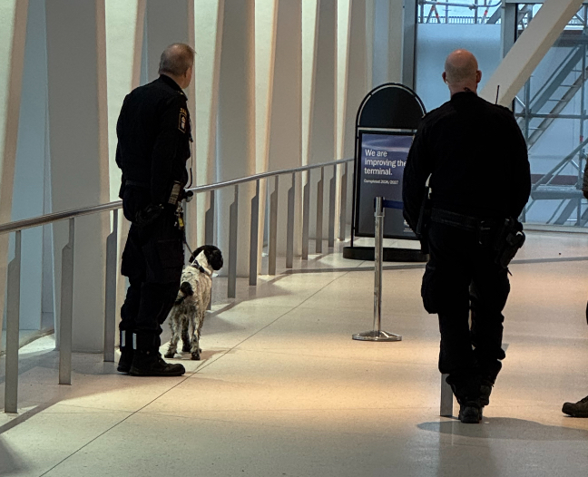 Sniffer Dog at Work Stockholm